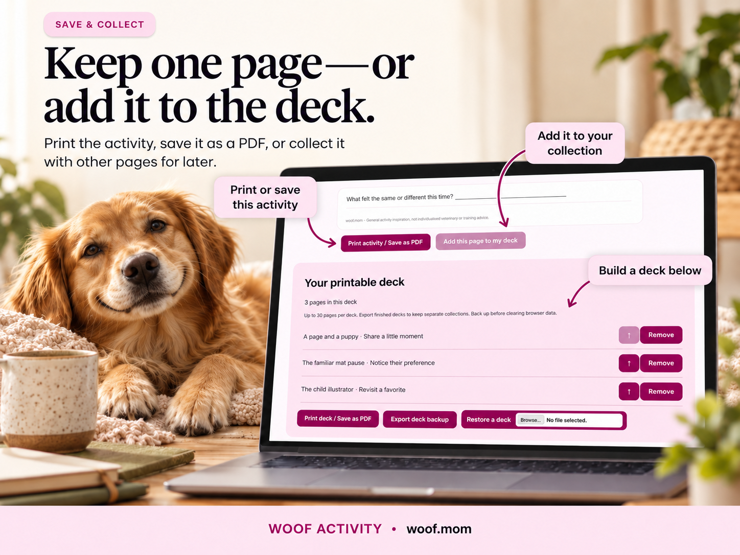 Woof Activity single-page printing, deck saving and backup controls